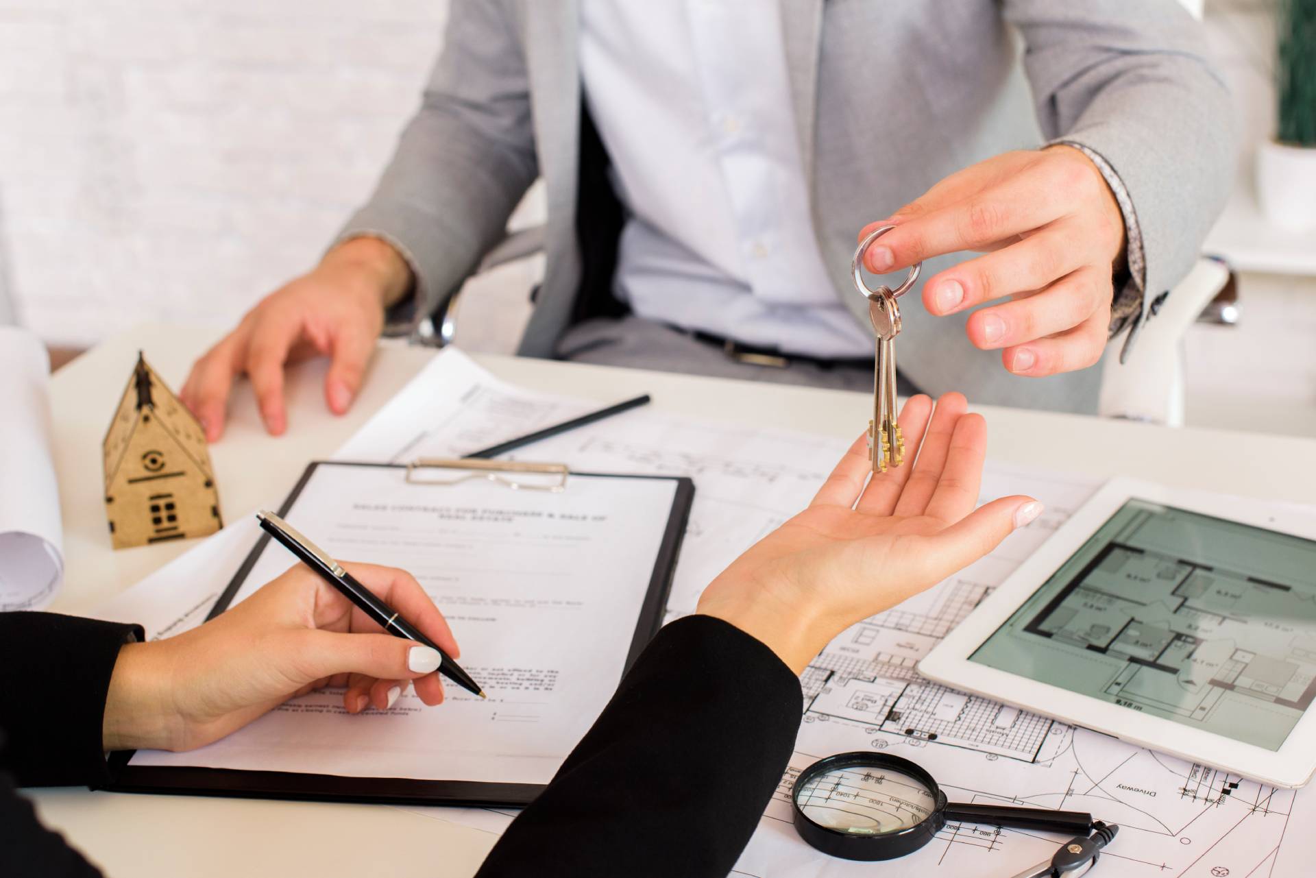 Immobilier & foncier
